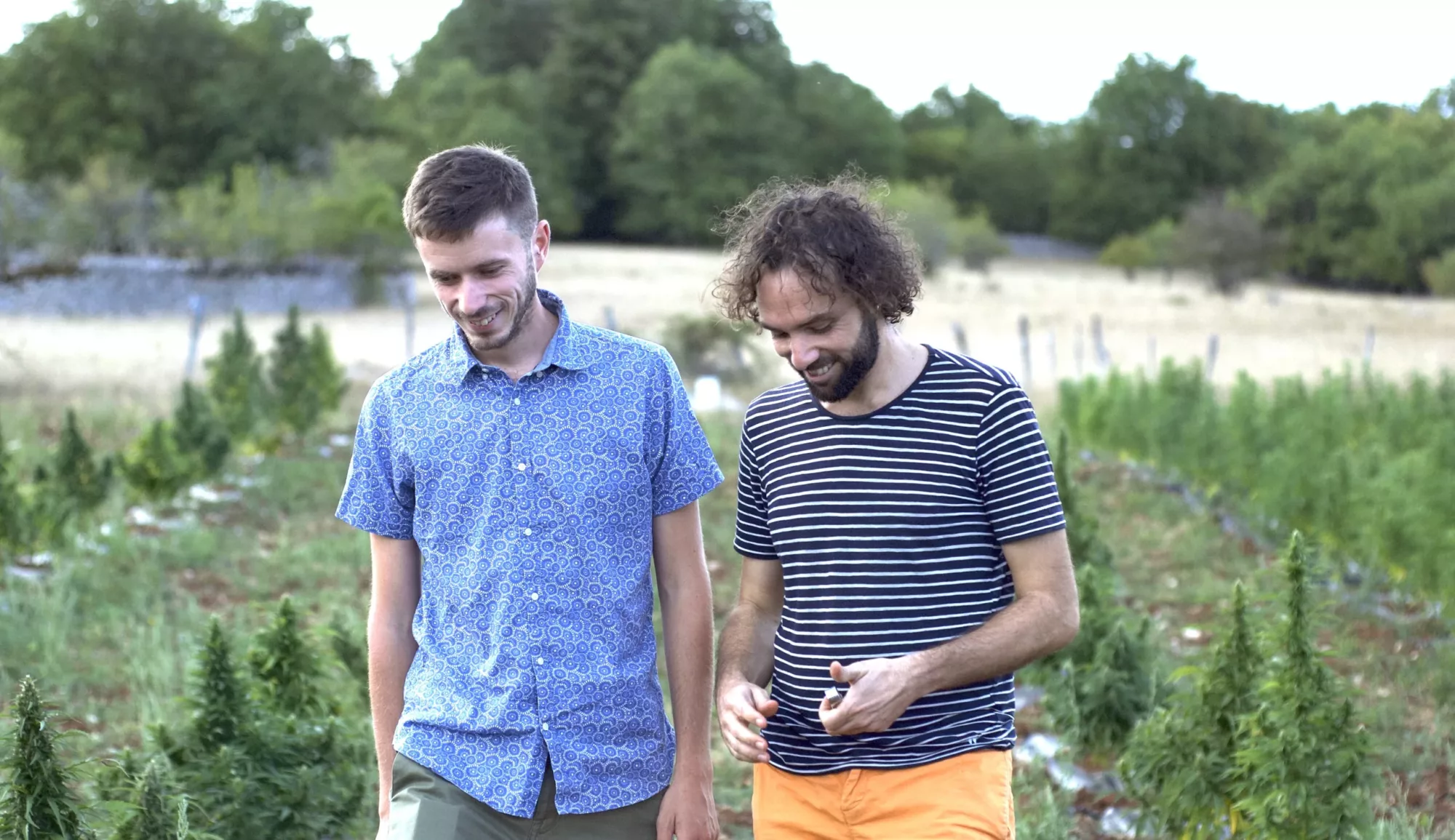 les producteurs de l'équipe au champ